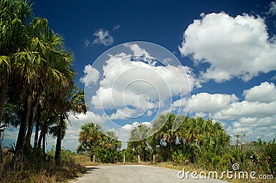 Dead end road in everglades florida Stock Photo