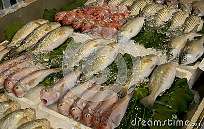 Dead Fish Stock Photo