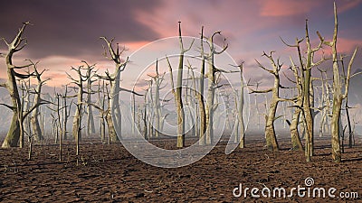 Dead forest, climate change crisis Stock Photo