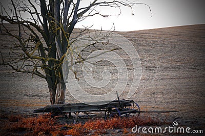 Dead Frontier Wagon Stock Photo