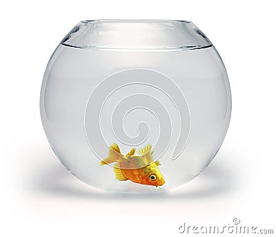 Dead Goldfish Bowl Stock Photo