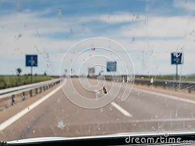 Dead insects on windscreen windshield Stock Photo