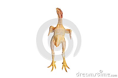 Dead plucked chicken chick with open wings and yellow paws isolated on white background Stock Photo
