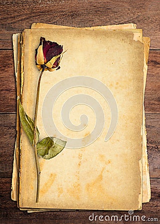 Dead roses and paper Stock Photo