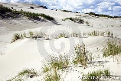 Dead Sand Dunes with Grass Stock Photo