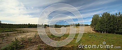 Dead sand heaps in the forest in Northern Sweden Stock Photo