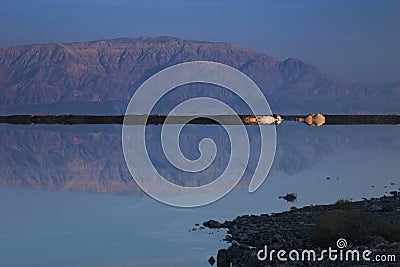 Dead Sea ,5 Stock Photo