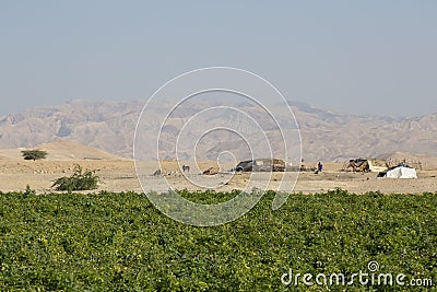 Dead Sea, Jordan- December 24th 2015: Nomadic people living by the dead sea Editorial Stock Photo