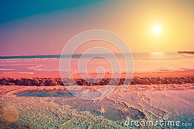 Dead sea salt shore Stock Photo