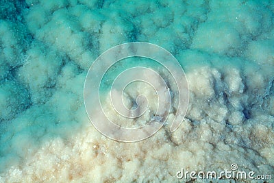 Dead Sea salt shore Stock Photo