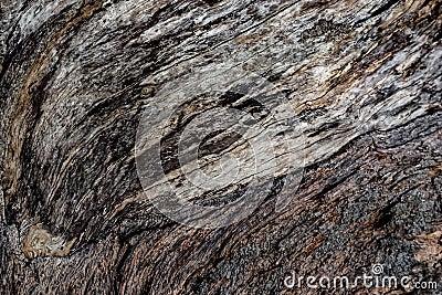 Abstrack tree Stock Photo