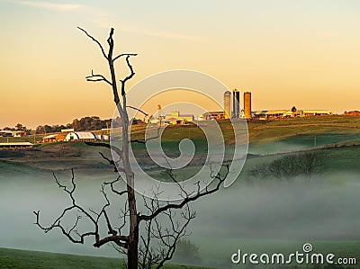 Dead tree frames WVU organic farm at Morgantown Stock Photo