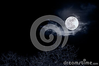 Dead tree with full moon in night time Stock Photo