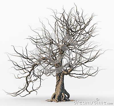 Dead tree isolated on white background. Stock Photo