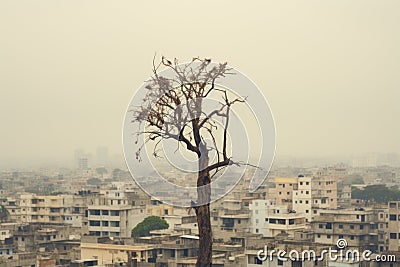 a dead tree in the middle of a city Stock Photo