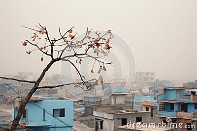 a dead tree in the middle of a city on a foggy day Stock Photo