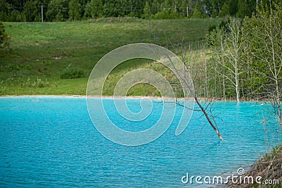 Dead tree in poisoned water. Alkaline solution. Ash dump dumping waste into the water. Ecological catastrophy. Dead Stock Photo