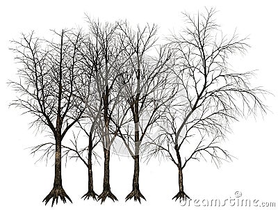 Dead Tree, Trees Illustration Isolated Cartoon Illustration