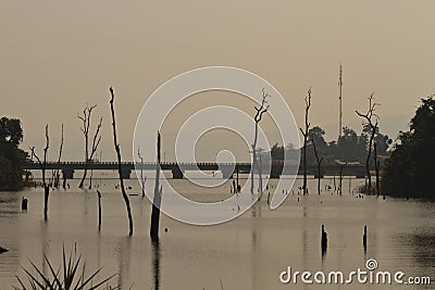 Dead trees in the reservoir with blue sky - Thakhek Loop Stock Photo