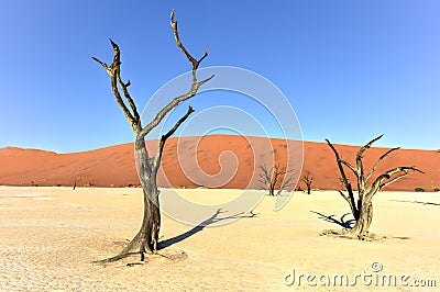 Dead Vlei, Namibia Stock Photo
