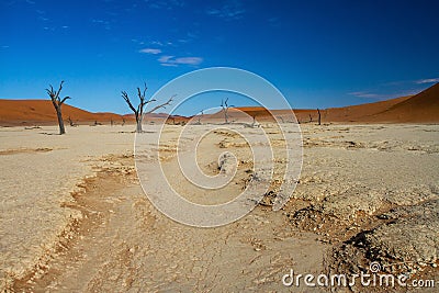 Dead Vlei near Sossusvlei in Nambia Stock Photo