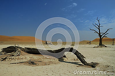 Deadvlei (Namib desert) Stock Photo