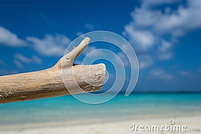 Deadwood on white sand beach of paradise island Stock Photo