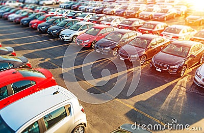 Dealer New Cars Stock Stock Photo