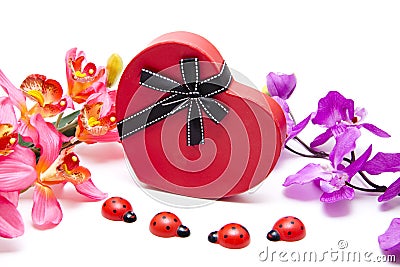 Dear symbol with loop and ladybug Stock Photo