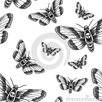 Death head moth Cartoon Illustration