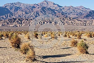 Death Valley Stock Photo