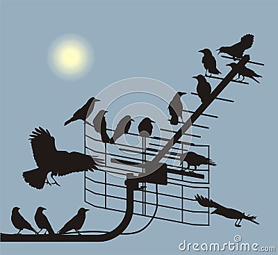Debate crows Vector Illustration