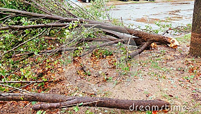 Debri blocking road during a typhoon Stock Photo