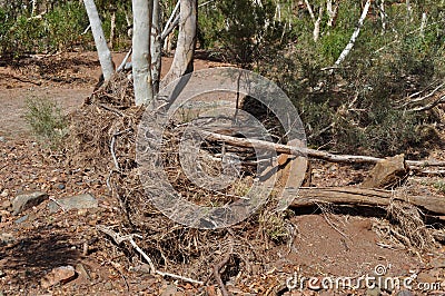 Debri in dry riverbed tsunami Stock Photo