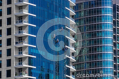 Four industrial alpinists cleaning large skyscraper windows at Dubai Marina Editorial Stock Photo