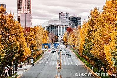 Tokyo yellow ginkgo tree along Gaien Higashi Dori street in autumn Editorial Stock Photo