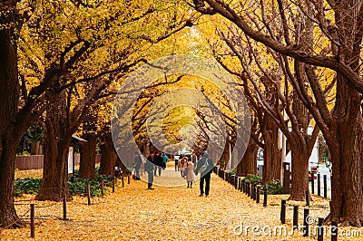 Tokyo yellow ginkgo tree street Jingu gaien avanue in autumn Editorial Stock Photo