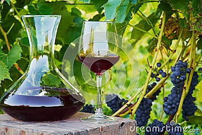 Decanter and glass of wine Stock Photo