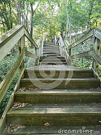 Decaying Stairs in the Woods Stock Photo