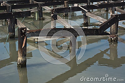 Decaying Wharf Pilings along the Sea Coast Stock Photo