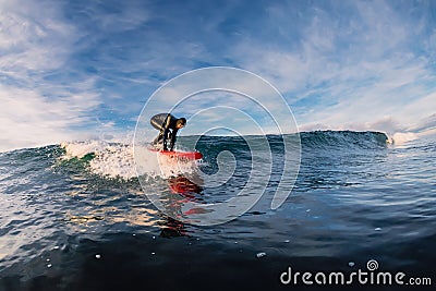 December 28, 2019. Anapa, Russia. Surfer in wetsuit on longboard with sea wave. Winter surfing in Russia Editorial Stock Photo