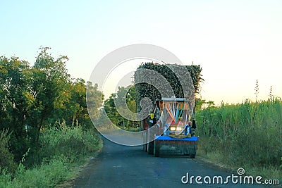 December 18 2022 - Karnataka, India: truck heavily overloaded with sugar cane is going to the factory Editorial Stock Photo