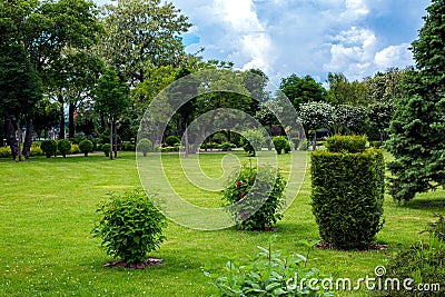 Deciduous and molded thuja bushes in parkland garden bed. Stock Photo