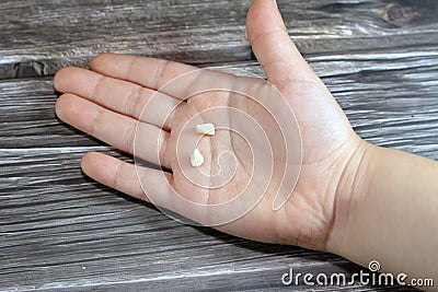 Deciduous primary baby temporary teeth, the first set of teeth in the growth and development of humans, They are usually lost and Stock Photo