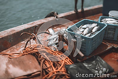 Deck of a fishing vessel with the tuna landing Stock Photo
