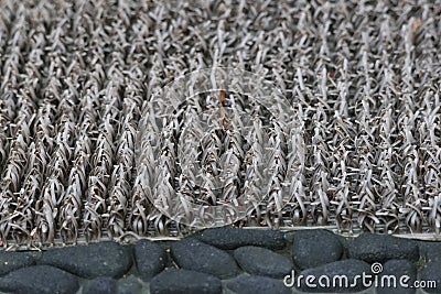 Outdoor doormat carpet fibers closeup of thick bristles Stock Photo