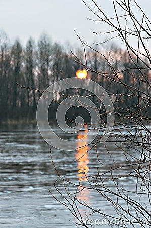 Decline on the river with dew drops Stock Photo