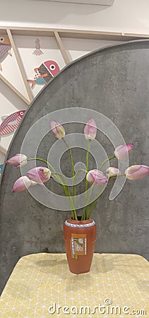 Deco home idea With Lotus flower valse Stock Photo
