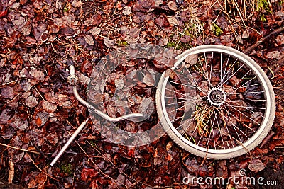 Decomposed bicycle parts Stock Photo