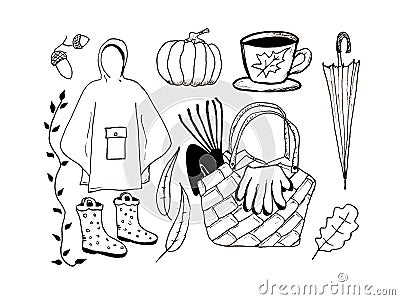 Decorate your photos with hand drawn graphics elements illustration. Doodle set of gardening items. Cartoon Illustration